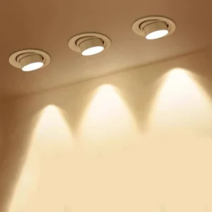 objective of pull out light